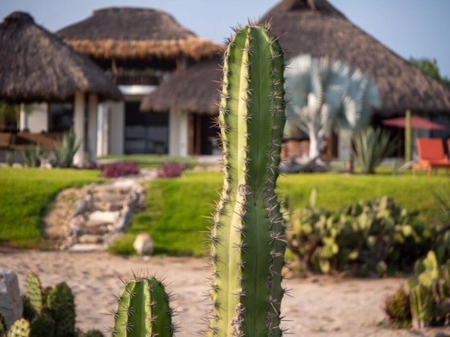 פוארטו אסקונדידו Villa De Las Rocas מראה חיצוני תמונה